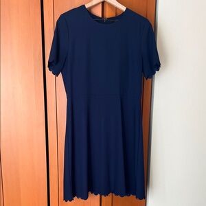 Banana Republic Elegant Scalloped Navy Blue Women's Dress